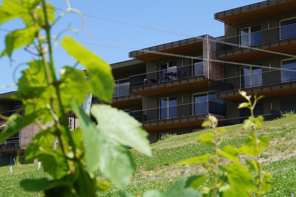 Relax Residence Suedsteiermark Ehrenhausen Ruang foto